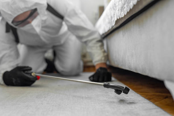 Professional Cockroach Control technician working in Globe, AZ