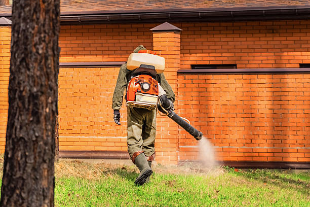 Top rated local Cockroach Control specialists in Globe, AZ